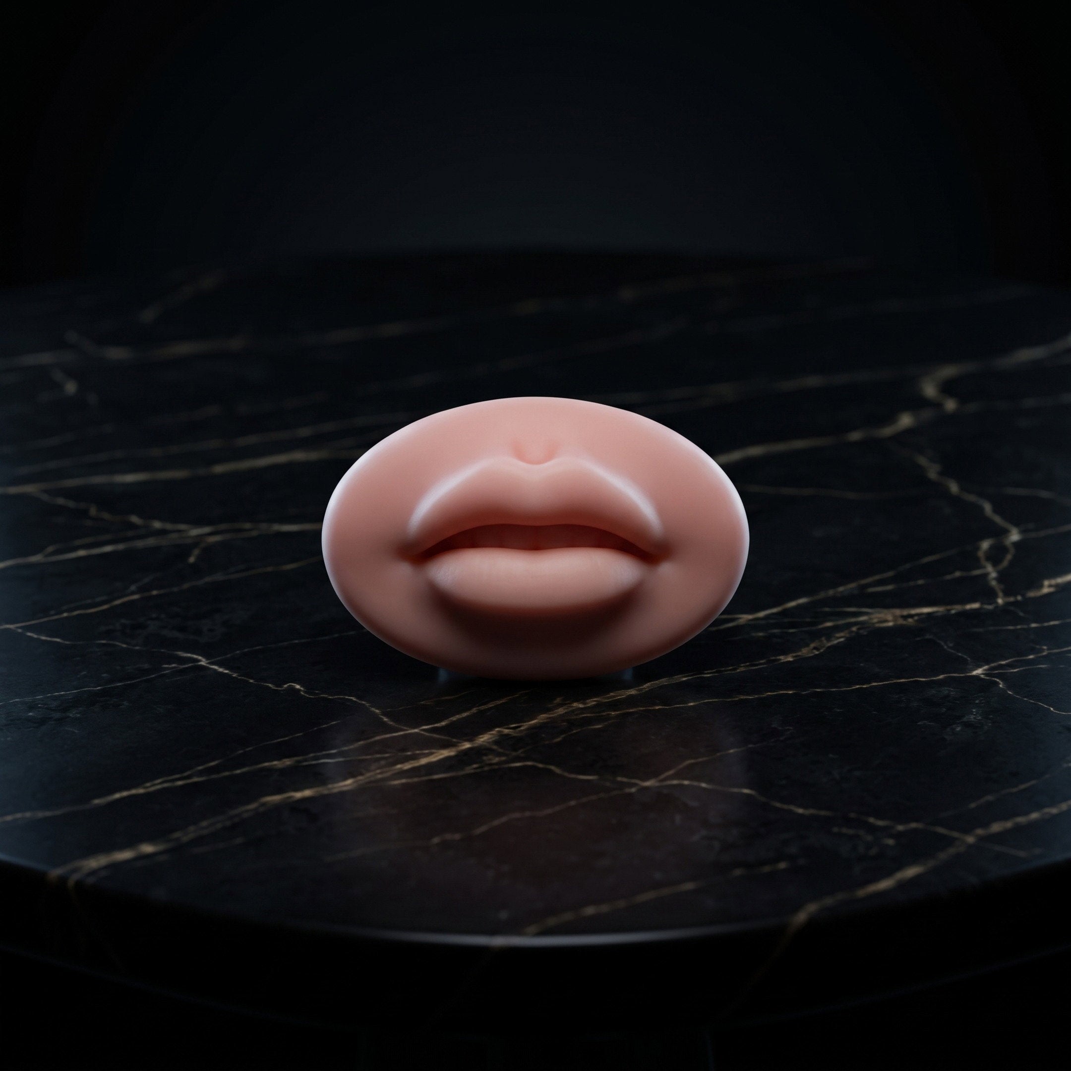 Pele de treino de lábios 5D ultra-realista para técnicas de ombré e full lips