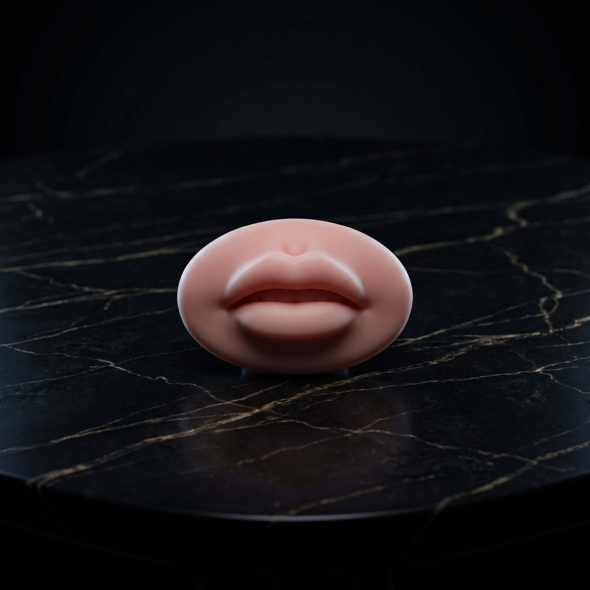 Pele de treino de lábios 5D ultra-realista para técnicas de ombré e full lips