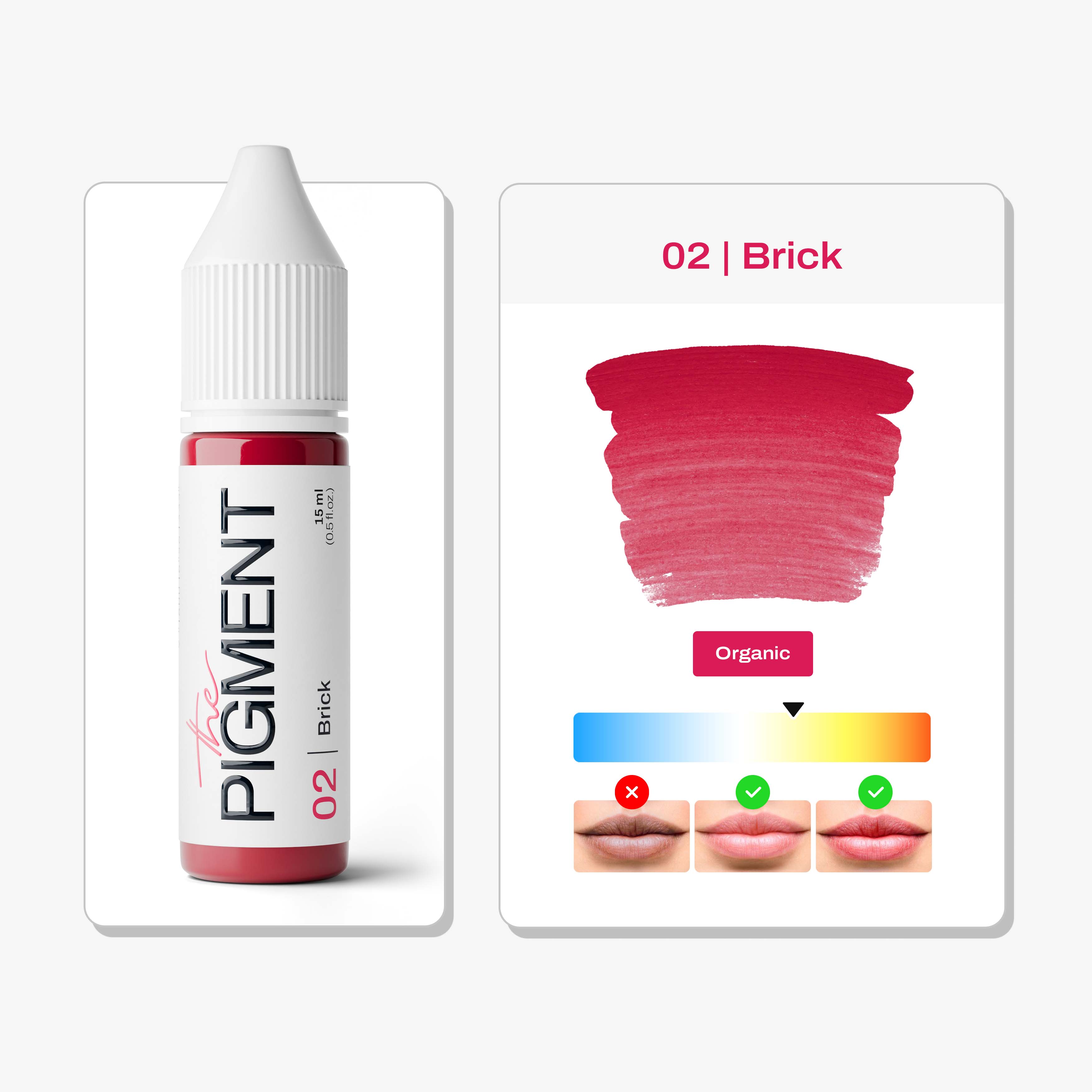 The Pigment - Lips PMU Pigment - 02 Brick