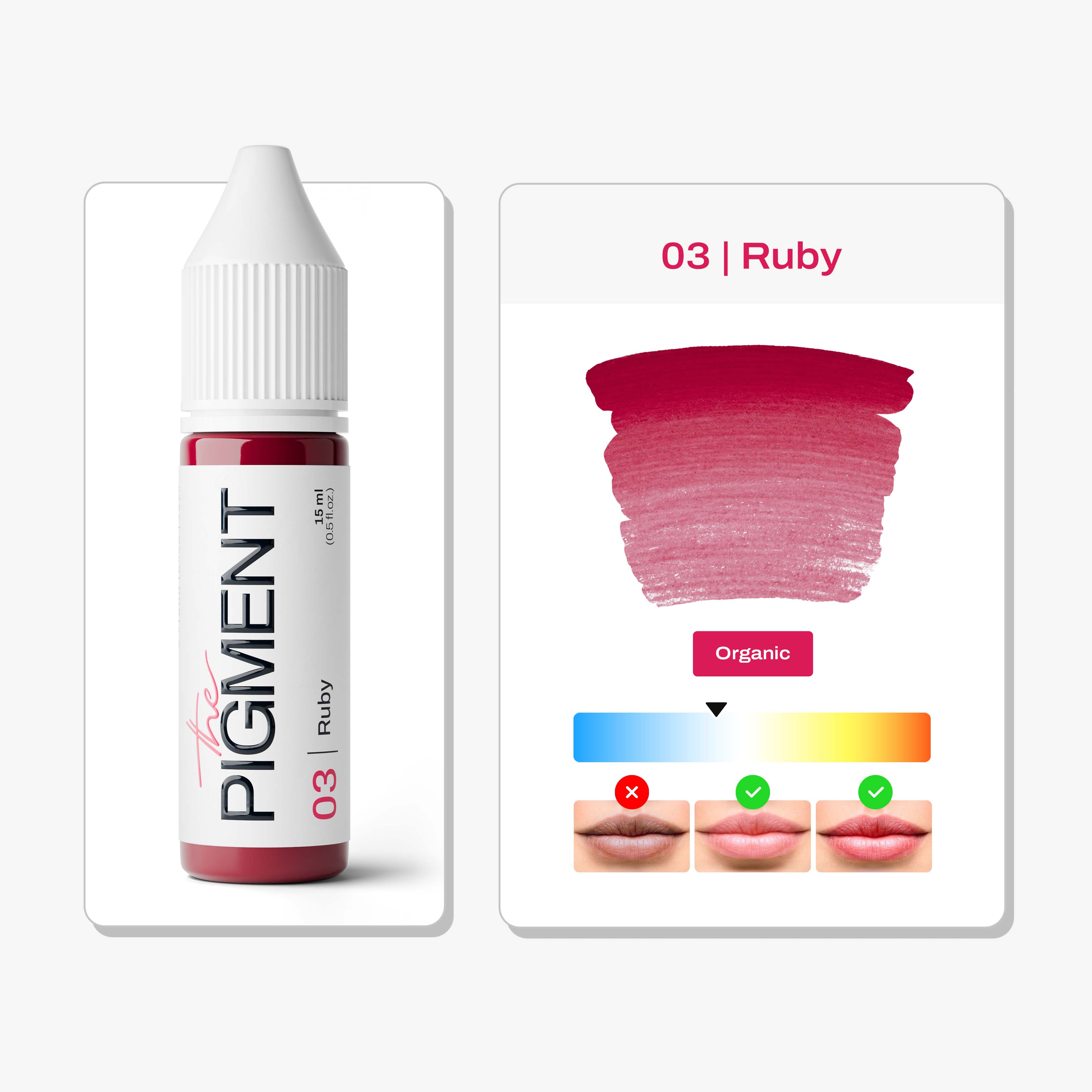 The Pigment - Lips PMU Pigment - 03 Ruby