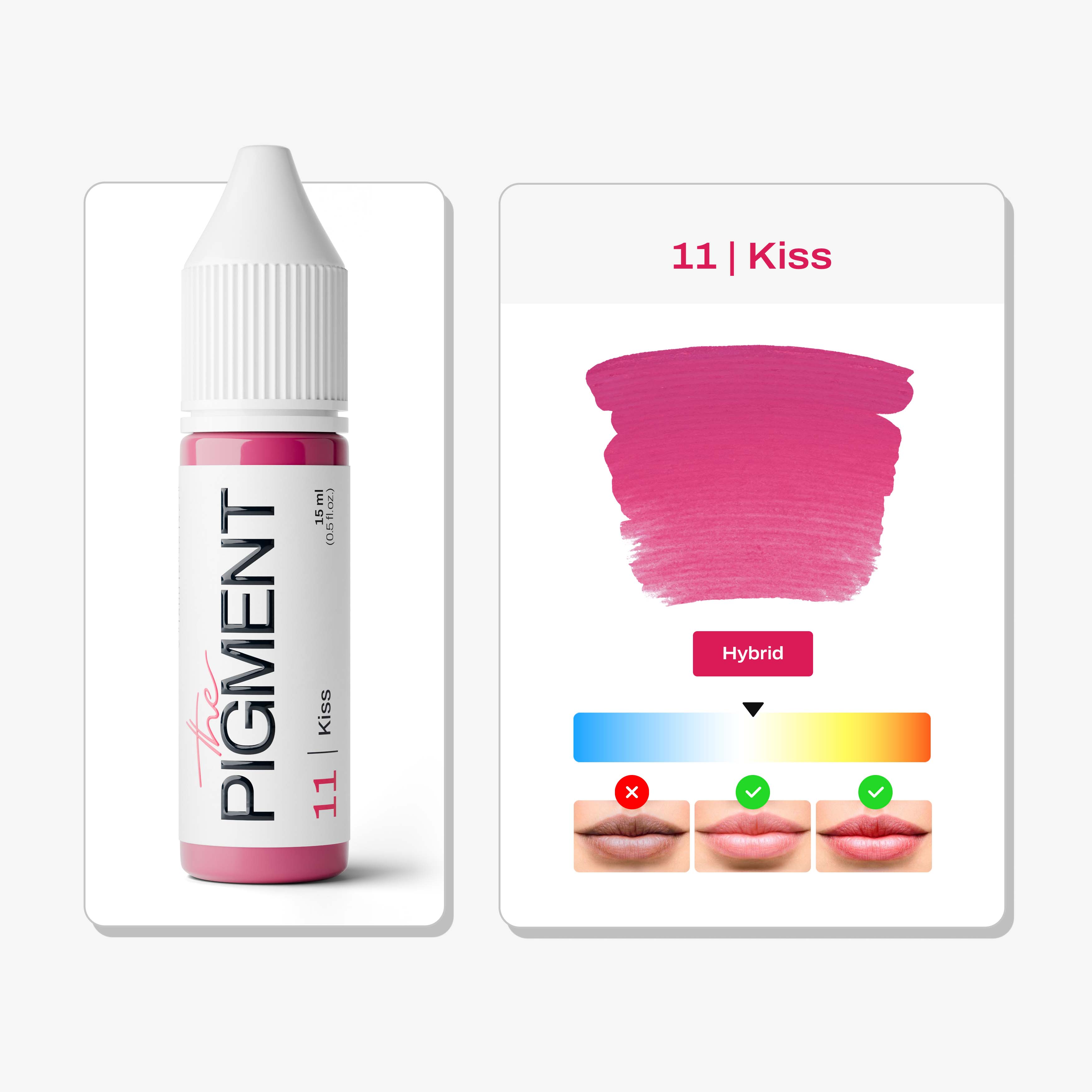 The Pigment - Lips PMU Pigment - 11 Kiss