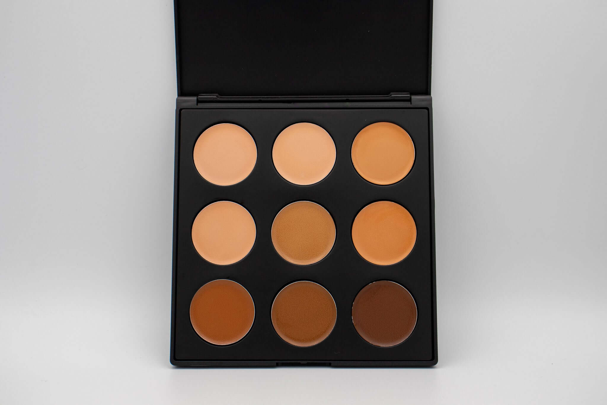 Pro Artist PMU Concealer Palette – professionelle Concealer-Palette für PMU-Behandlungen, ideal zum Abdecken von Unregelmäßigkeiten und für ein makelloses Finish.